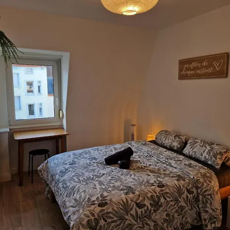 Apartamento Lumineux De 3 Pieces - 2 - Centre-ville