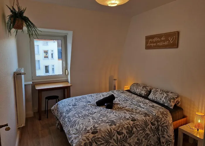 Apartamento Lumineux De 3 Pieces - 2 - Centre-ville